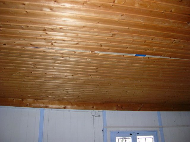 sturmschaeden 18012007 011